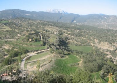 Excursion a Roda de Isábena